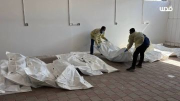 تقرير أممي: عشرات الدول متورطة في تمكين الاحتلال من ارتكاب الإبادة الجماعية في غزة تقرير أممي: عشرات الدول متورطة في تمكين الاحتلال من ارتكاب الإبادة الجماعية في غزة