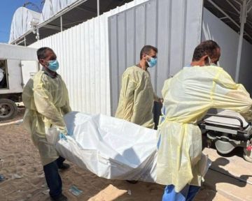 الاحتلال يسلم 30 جثمانا لشهداء من قطاع غزة الاحتلال يسلم 30 جثمانا لشهداء من قطاع غزة