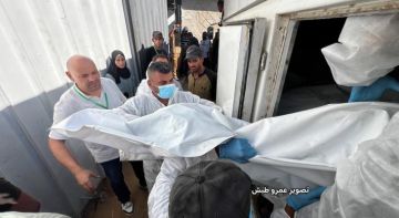 الصحة في غزة: استلام 30 جثمانا جديدا لشهداء أفرج عنهم الاحتلال الصحة في غزة: استلام 30 جثمانا جديدا لشهداء أفرج عنهم الاحتلال