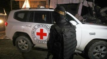 القسام تعلن تسليم جثة أسير إسرائيلي الليلة القسام تعلن تسليم جثة أسير إسرائيلي الليلة