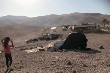 مستوطنون يقتحمون قرية شلال العوجا شمال أريحا