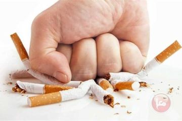 هل وجود تشريعات لتنظيم منتجات التبغ البديلة يحد من مخاطر التدخين؟