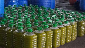  الاقتصاد تضبط زيت زيتون مغشوشا في محافظتي الخليل ونابلس