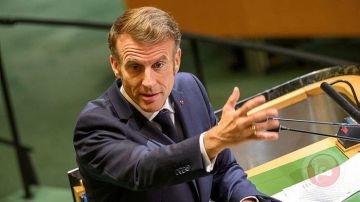 بالتوازي مع محادثات شرم الشيخ: قمة في باريس حول مستقبل غزة بالتوازي مع محادثات شرم الشيخ: قمة في باريس حول مستقبل غزة