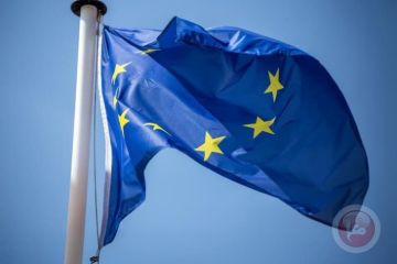 اجتماع حاسم الاسبوع المقبل: الاتحاد الأوروبي يجمد تعزيز العقوبات ضد إسرائيل اجتماع حاسم الاسبوع المقبل: الاتحاد الأوروبي يجمد تعزيز العقوبات ضد إسرائيل