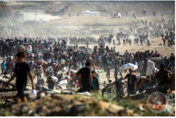 حلفاء ترامب في الخليج يسعون لتنفيذ خطة غزة مع حماس أو بدونها حلفاء ترامب في الخليج يسعون لتنفيذ خطة غزة مع حماس أو بدونها