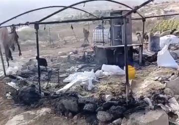 مستعمرون يحرقون مسكنا ويتلفون أعلافا جنوب الخليل مستعمرون يحرقون مسكنا ويتلفون أعلافا جنوب الخليل