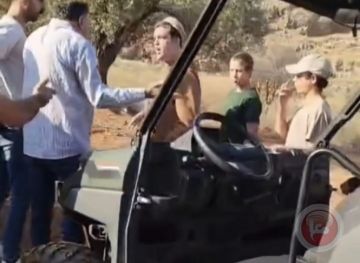 المستوطنون يهاجمون قاطفي الزيتون في سلفيت المستوطنون يهاجمون قاطفي الزيتون في سلفيت