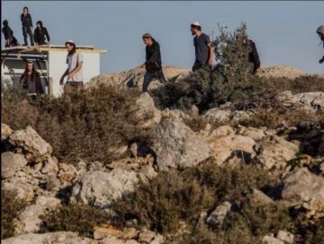 إصابة خطيرة لمواطن برصاص مستوطن في صوريف واعتداءات متواصلة في بيت أمر