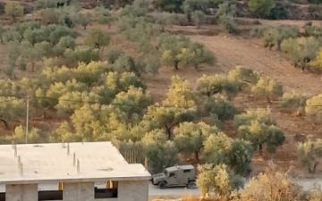 الاحتلال يطلق الرصاص تجاه قاطفي الزيتون في كوبر شمال رام الله الاحتلال يطلق الرصاص تجاه قاطفي الزيتون في كوبر شمال رام الله