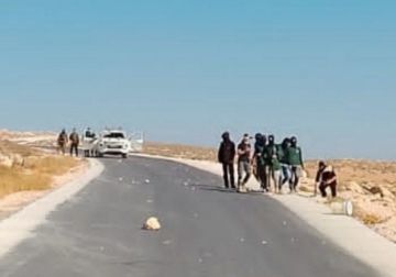 مستعمرون يهاجمون قاطفي الزيتون جنوب نابلس وشرق بيت لحم مستعمرون يهاجمون قاطفي الزيتون جنوب نابلس وشرق بيت لحم