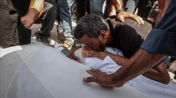 الصحة بغزة: 29 شهيدا و 10 إصابات خلال الـ 24 ساعة الماضية