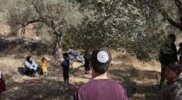 مستعمرون يهاجمون قاطفي الزيتون في بيت دجن شرق نابلس مستعمرون يهاجمون قاطفي الزيتون في بيت دجن شرق نابلس