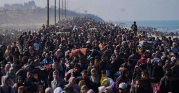 أوتشا: 470 ألف نازح عادوا إلى شمال غزة منذ اتفاق وقف الحرب أوتشا: 470 ألف نازح عادوا إلى شمال غزة منذ اتفاق وقف الحرب