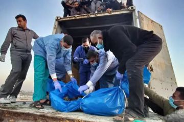 الصحة بغزة: دفن 50 جثمانا مجهول الهوية ومشاهد صادمة ومرعبة على أجساد الشهداء  الصحة بغزة: دفن 50 جثمانا مجهول الهوية ومشاهد صادمة ومرعبة على أجساد الشهداء