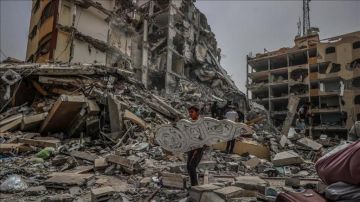 تقرير تل الهوا بين الركام والأمل... حي يرفض الانكسار رغم الإبادة تقرير تل الهوا بين الركام والأمل... حي يرفض الانكسار رغم الإبادة