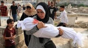 23 شهيدا منذ فجر اليوم بينهم 19 في مدينة غزة 23 شهيدا منذ فجر اليوم بينهم 19 في مدينة غزة