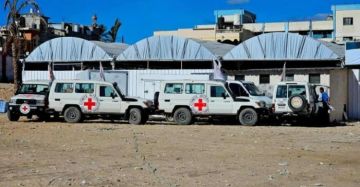 الاحتلال يسلم جثامين 45 شهيدا من قطاع غزة الاحتلال يسلم جثامين 45 شهيدا من قطاع غزة