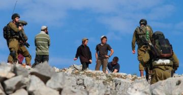 مستوطنون يقتحمون الأغوار الشمالية