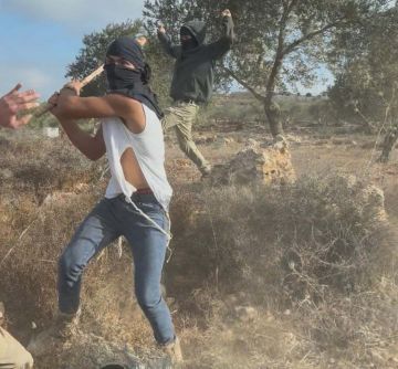 اعتداء وحشي على امرأة.. مستوطنون يهاجمون بعنف مزارعين فلسطينيين في الضفة الغربية (صور فيديو) اعتداء وحشي على امرأة.. مستوطنون يهاجمون بعنف مزارعين فلسطينيين في الضفة الغربية (صور فيديو)