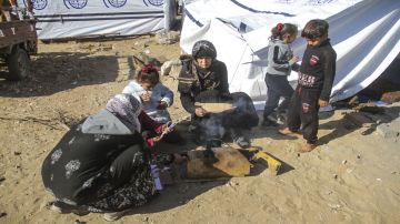 صحة غزة: مقتل 19 فلسطينيا بنيران إسرائيلية خلال 48 ساعة صحة غزة: مقتل 19 فلسطينيا بنيران إسرائيلية خلال 48 ساعة