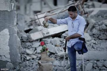 غزة من حقها تعيش؟.. إيه من حقها