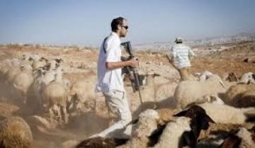 مستوطنون يمنعون الرعاة من الوصول إلى مراعيهم شرق القدس مستوطنون يمنعون الرعاة من الوصول إلى مراعيهم شرق القدس