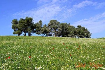 الأجواء الصيفية تنتهي وعودة للأجواء الماطرة