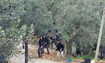 نصفها مرتبط بموسم الزيتون.. (أوتشا) توثق 71 هجوما للمستوطنين في الضفة خلال أسبوع