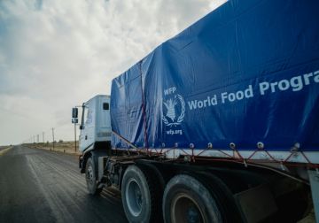 الأغذية العالمي: تدفق المساعدات لغزة أقل بكثير من الاحتياجات اليومية الأغذية العالمي: تدفق المساعدات لغزة أقل بكثير من الاحتياجات اليومية