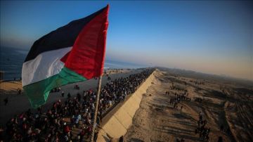 تقرير فرحة ممزوجة بالدموع بعد إعلان وقف العدوان الإسرائيلي