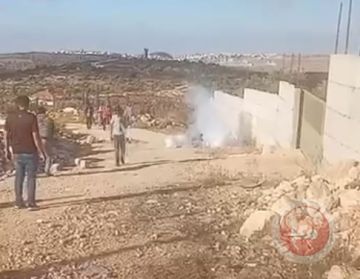 رام الله: الاحتلال يطلق الرصاص تجاه قاطفي الزيتون في كوبر