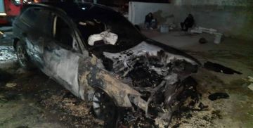 مستوطنون يصعدون من اعتداءاتهم على ممتلكات فلسطينيين شمال الضفة المحتلة مستوطنون يصعدون من اعتداءاتهم على ممتلكات فلسطينيين شمال الضفة المحتلة