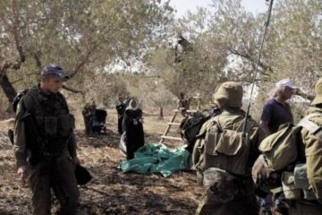 الاحتلال ومستوطنوه يهاجمون كفر قدوم شرق قلقيلية ويحرقون مركبات فلسطينية