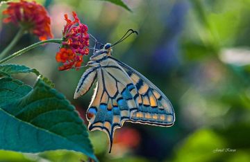 الطقس: ارتفاع طفيف على درجات الحرارة الطقس: ارتفاع طفيف على درجات الحرارة