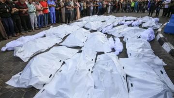 الصحة بغزة: 19 شهيدا و7 إصابات خلال الـ 48 ساعة الماضية الصحة بغزة: 19 شهيدا و7 إصابات خلال الـ 48 ساعة الماضية