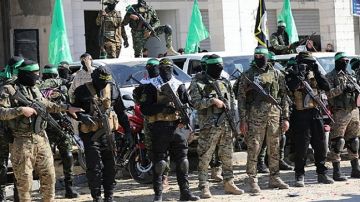 تجمع القبائل والعشائر الفلسطينية في غزة يدعم الجهود الأمنية ويرفع الغطاء عن المخالفين تجمع القبائل والعشائر الفلسطينية في غزة يدعم الجهود الأمنية ويرفع الغطاء عن المخالفين