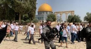 مستوطنون يقتحمون الأقصى ويؤدون طقوسا تلمودية مستوطنون يقتحمون الأقصى ويؤدون طقوسا تلمودية
