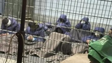 إعلام الأسرى: بن غفير يواصل حرب الإبادة داخل السجون ويدعو علنا إلى قتل المعتقلين الفلسطينيين إعلام الأسرى: بن غفير يواصل حرب الإبادة داخل السجون ويدعو علنا إلى قتل المعتقلين الفلسطينيين