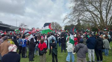 تضامنا مع فلسطين.. وقفة في نيوزيلندا تطالب بمعاقبة الاحتلال تضامنا مع فلسطين.. وقفة في نيوزيلندا تطالب بمعاقبة الاحتلال
