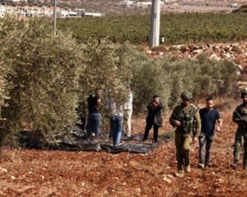 الاحتلال والمستوطنون يهاجمون قاطفي الزيتون في عدة قرى جنوب نابلس الاحتلال والمستوطنون يهاجمون قاطفي الزيتون في عدة قرى جنوب نابلس