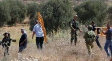 الاحتلال يطلق الرصاص تجاه قاطفي الزيتون في كوبر شمال رام الله الاحتلال يطلق الرصاص تجاه قاطفي الزيتون في كوبر شمال رام الله