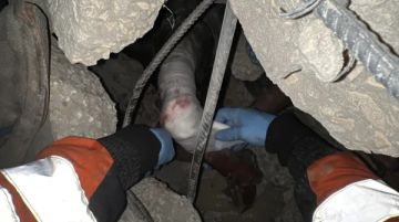 الدفاع المدني بغزة: أشلاء شهداء تبخرت أو تطايرت في ليلة كارثية على القطاع الدفاع المدني بغزة: أشلاء شهداء تبخرت أو تطايرت في ليلة كارثية على القطاع