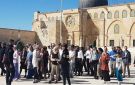 مستوطنون يقتحمون الأقصى ويؤدون طقوسا تلمودية - ps