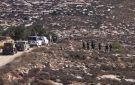تقرير حكومي فلسطيني: الجيش الإسرائيلي ومستوطنوه نفذوا 158 اعتداء ضد قاطفي الزيتون بالضفة في أكتوبر - ps