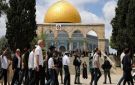 مستوطنون يقتحمون باحات الأقصى واعتقالات في الضفة الغربية - ps