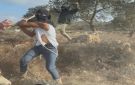 اعتداء وحشي على امرأة.. مستوطنون يهاجمون بعنف مزارعين فلسطينيين في الضفة الغربية (صور فيديو) - ps