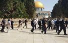 مستوطنون يقتحمون باحات المسجد الأقصى - ps