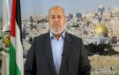 الحية: نجد صعوبة بالغة في استخراج الجثامين ونواصل محاولاتنا - ps