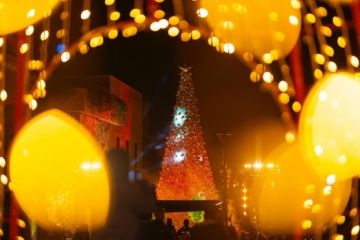 أطفال من غزة والضفة والداخل يضيئون شجرة الميلاد في روابي أطفال من غزة والضفة والداخل يضيئون شجرة الميلاد في روابي